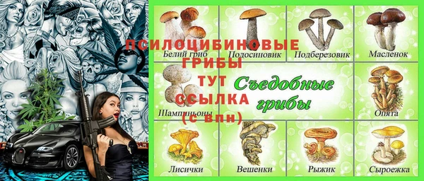 не бодяженный Каменногорск