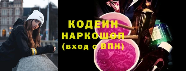 винт Инта