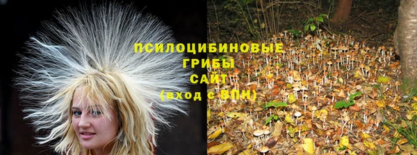 герыч Кострома