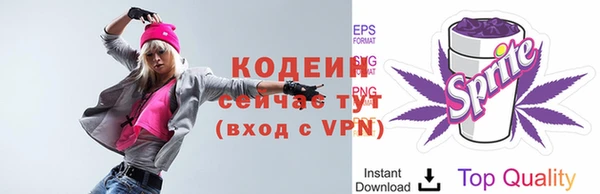 не бодяженный Каменногорск