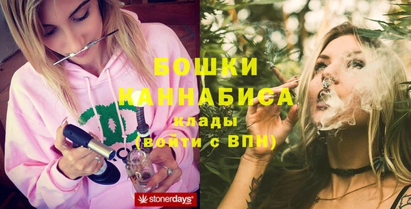 винт Инта