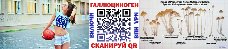 Галлюциногенные грибы мицелий  Озёры 